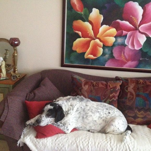 Meet your Posher, Ruth - Picture 1 of 1